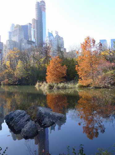 NYC_2012-11-22 13-22-16_P1070538